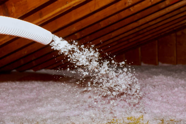 Best Affordable Insulation Services  in Cold Spring, MN